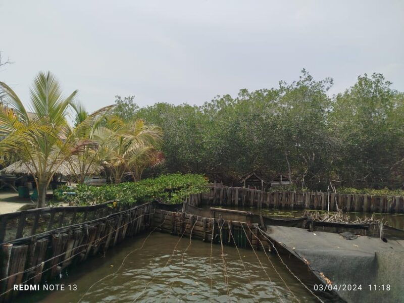 cartagena-fishermens-island-in-the-mangroves-by-canoe