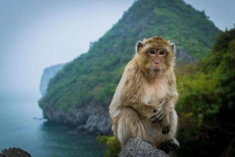 cat-ba-boat-trip-to-fishing-village-monkey-island