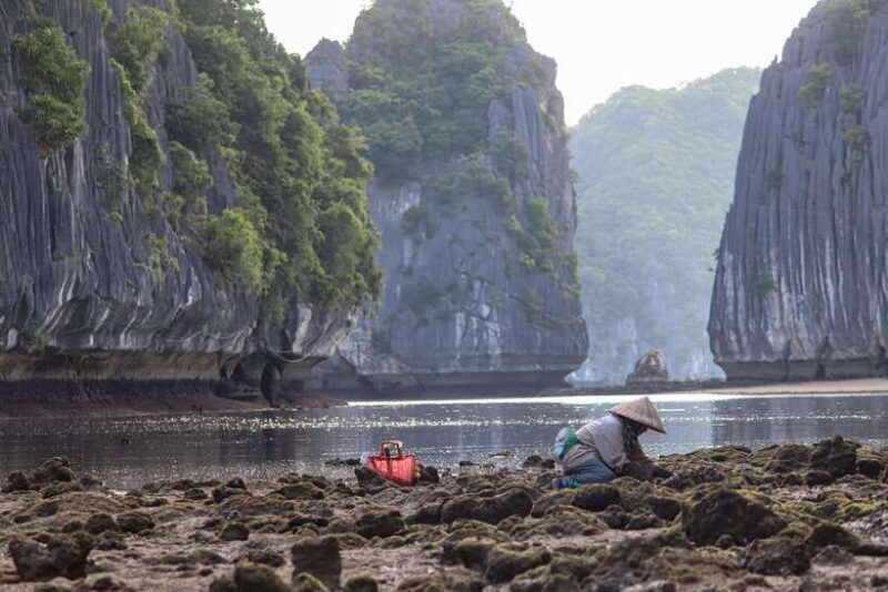 cat-ba-sunset-bioluminescent-kayaking-on-lan-ha-bay