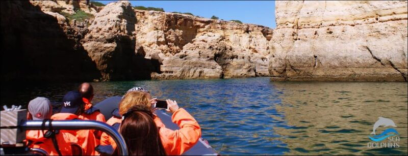 caves-dolphins-combined-trip