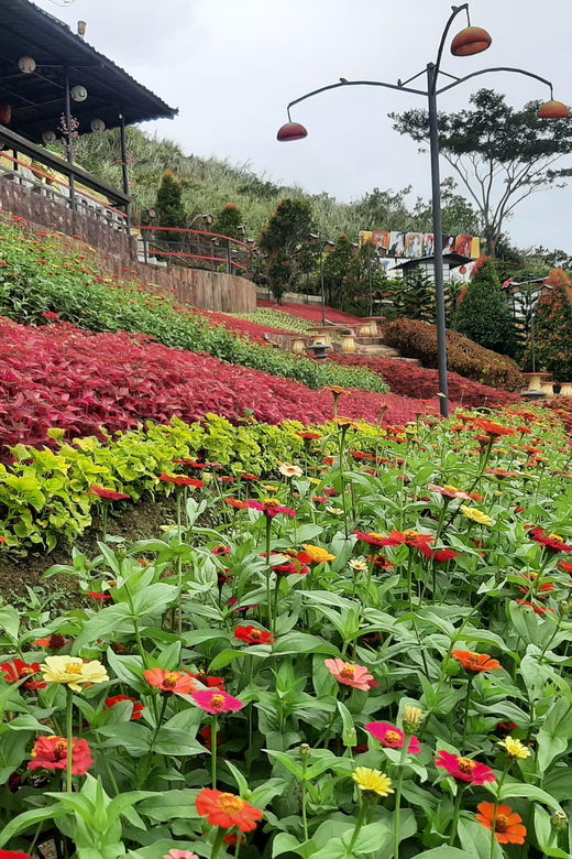 cebu-city-cultural-heritage-tour-10000-roses-visit