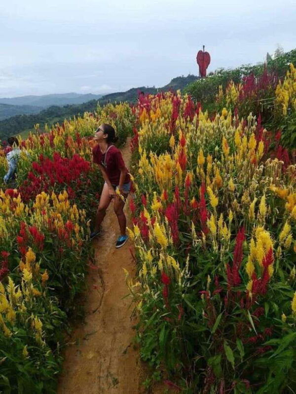 cebu-highlands-half-day-escape-with-optional-lunch