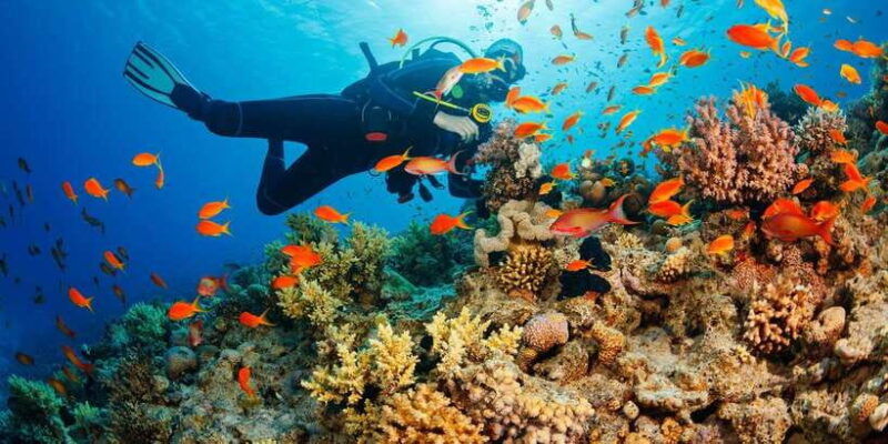 cebu-scuba-diving-with-sardines-and-pescador-island-snorkel
