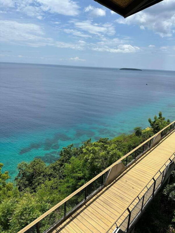 cebu-whale-shark-mysterious-waterfall-private-tour