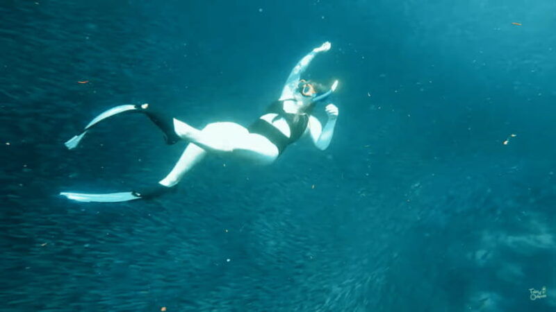 cebu-whale-shark-oslob-and-moalboal-snorkeling-adventure