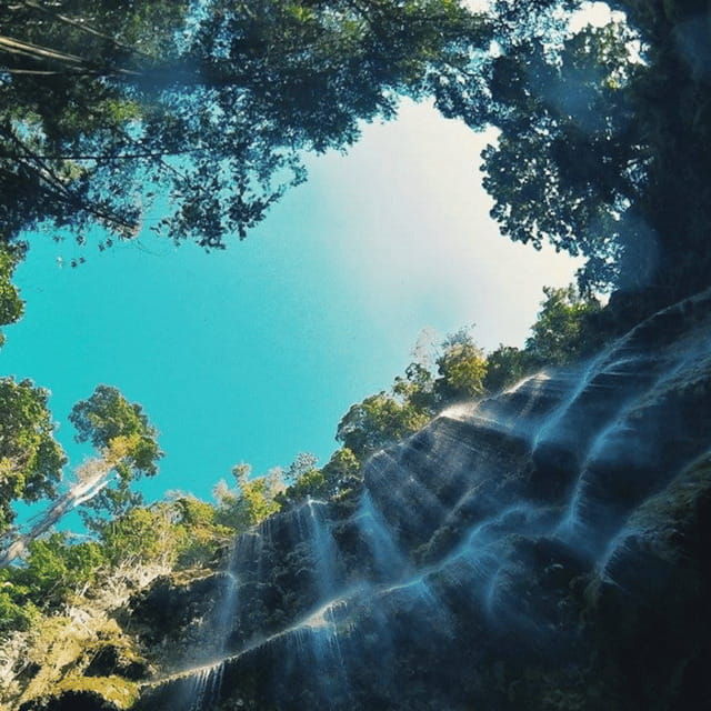 cebu-whale-sharks-tumalog-falls-sumilon