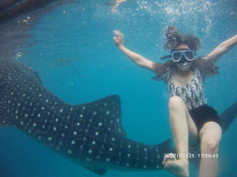 cebu-whaleshark-encounter-tumalog-falls-sumilon-sandbar