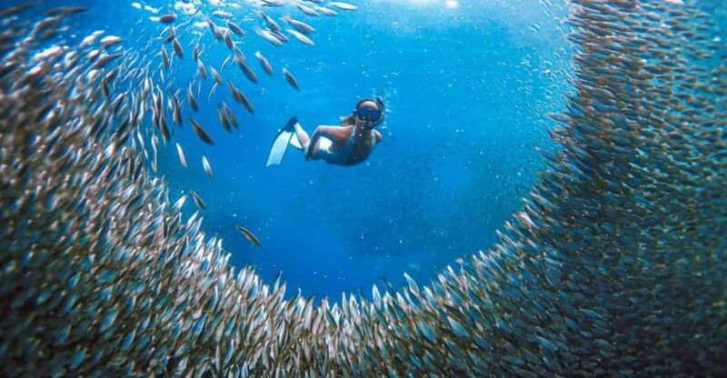 cebusardine-run-snorkeling-mantayupan-falls-atv-thrills