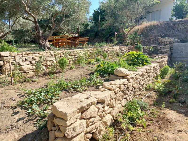 chania-5-wine-tasting-with-locals-in-village-near-kissamos