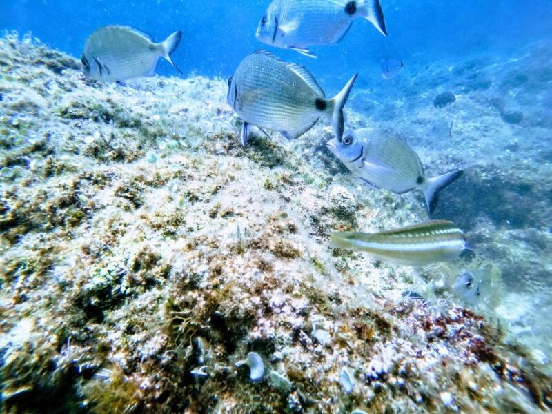 chania-try-scuba-diving-for-beginners-2
