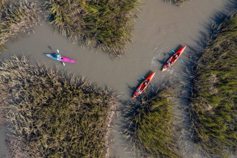 charleston-folly-beach-afternoon-kayak-dolphin-safari