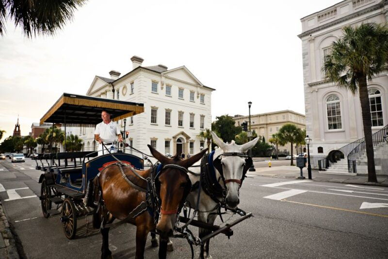charlestonevening-haunted-history-horse-drawn-carriage-tour