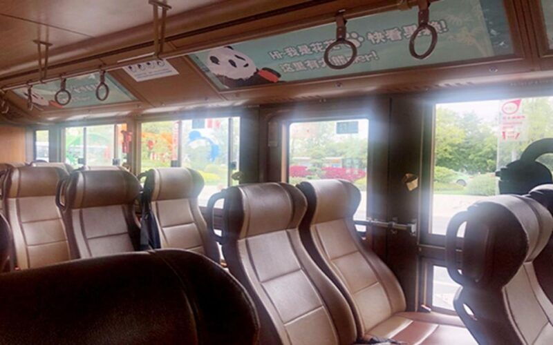 chengdu-panda-base-half-day-tour