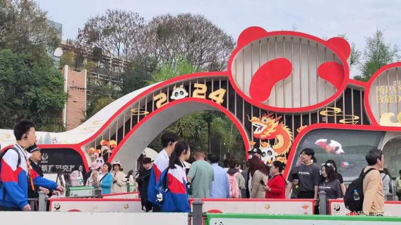 chengdu-panda-breeding-base-tickets-booking