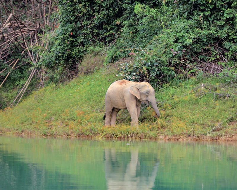 cheow-larn-lake-hiking-cave-explore-wildlife-safari