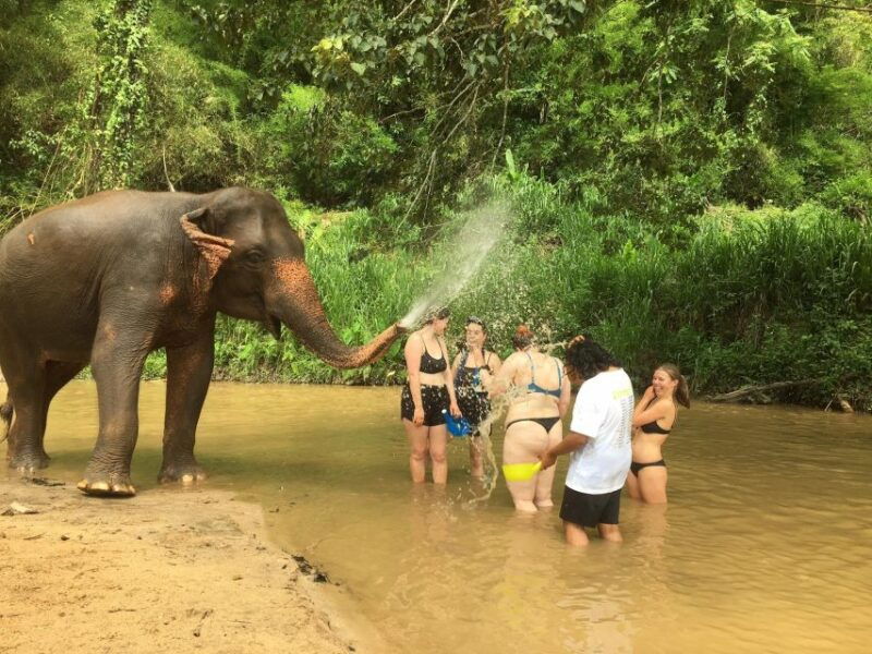 chiang-mai-2-day-jungle-trek-with-elephant-farm-raft-ride