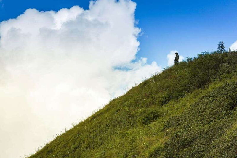 chiang-mai-doi-inthanon-pha-dok-siew-nature-trail-trek