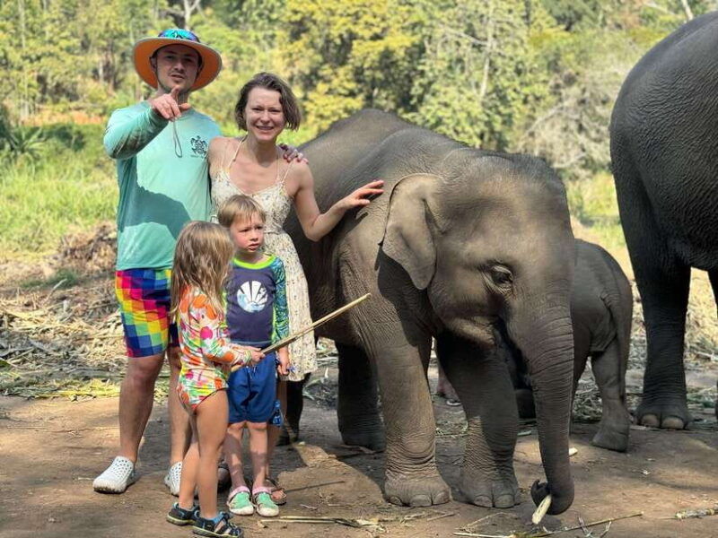 chiang-mai-elephant-sanctuary-feeding-program-half-day-tour