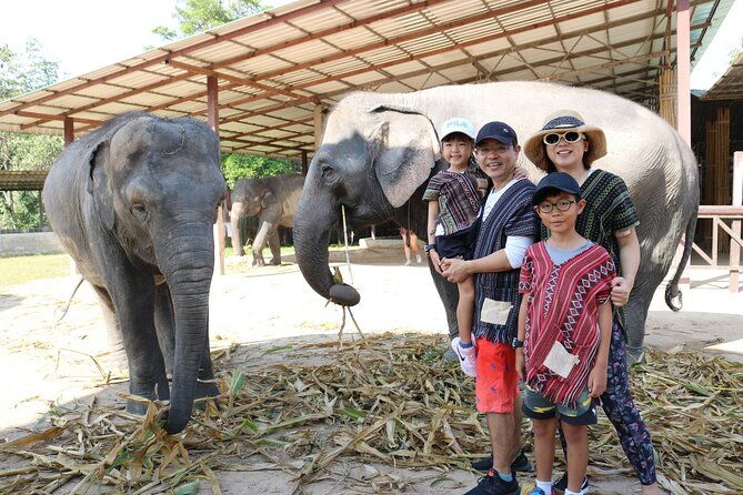 Chiang Mai Elephant Sanctuary Small Group Ethical Tour - FAQ