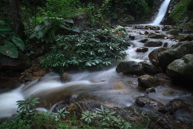 Chiang Mai Exotic Excursion Unseen Miracle of Faith To Pupadang Lampang Temple - The Sum Up