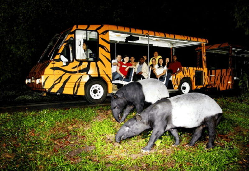 chiang-mai-night-safari-ticket-with-transfer