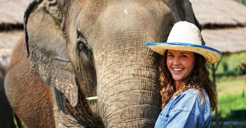 chiang-mai-small-group-ethical-elephant-sanctuary-tour