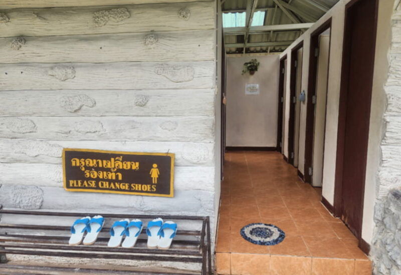 chiang-mai-sticky-waterfall-bua-tong-cave-private-day-trip