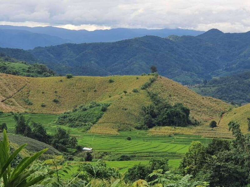 chiang-rai-jungle-trek-bamboo-tube-cooking-adventure