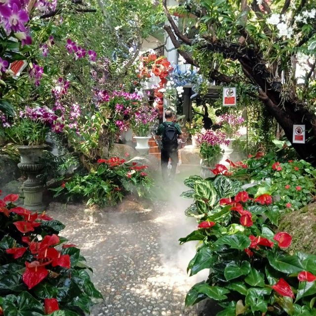 chiang-rai-white-blue-huay-pla-kang-temple-lalitta-cafe