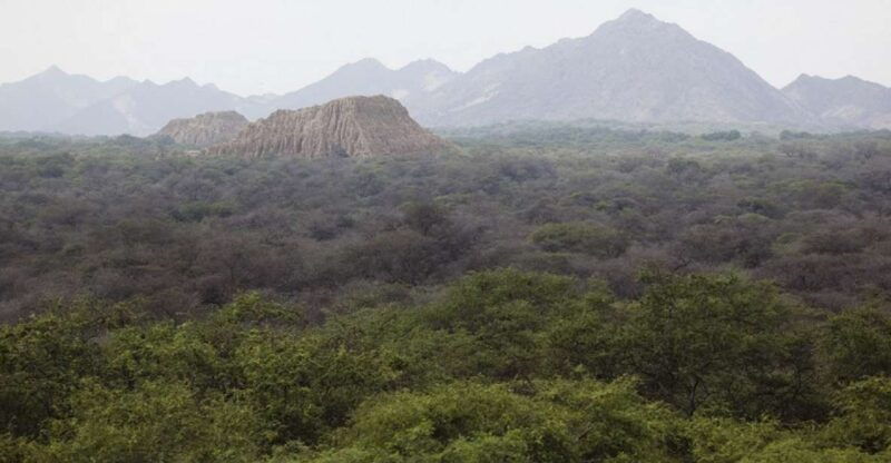 chiclayo-pomac-forest-historic-sanctuary-sican-museum