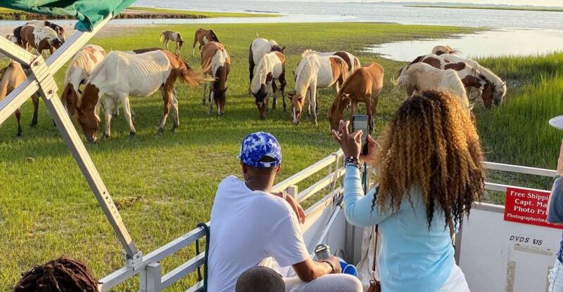 chincoteague-assateague-island-sunset-boat-cruise