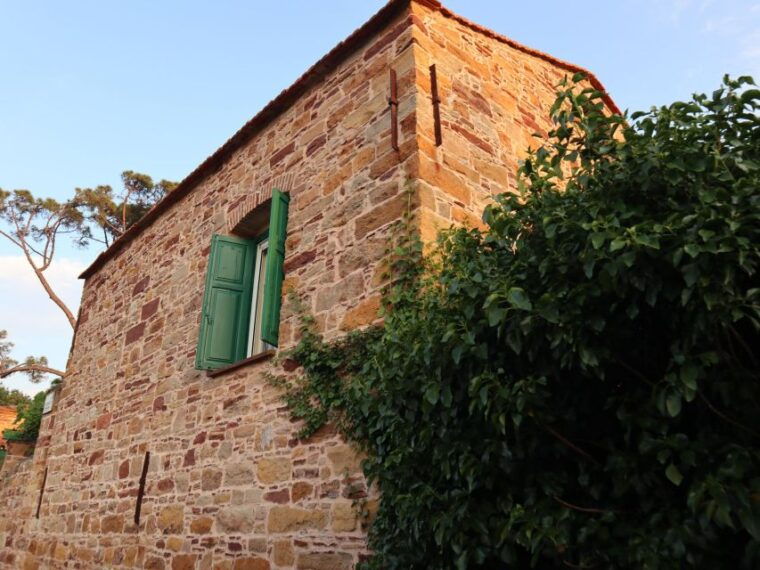 chios-orange-farm-trip-tasting-citrus-museum-visit