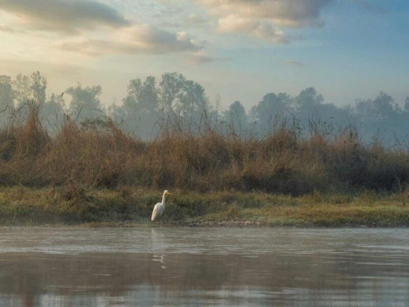chitwan-jungle-safari-3-day-wildlife-expedition