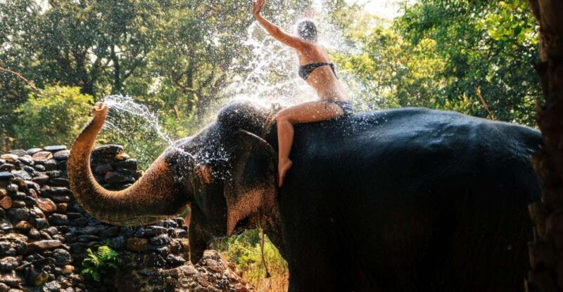 chitwan-jungle-safari-tour-with-canoe-ride-in-forest-river