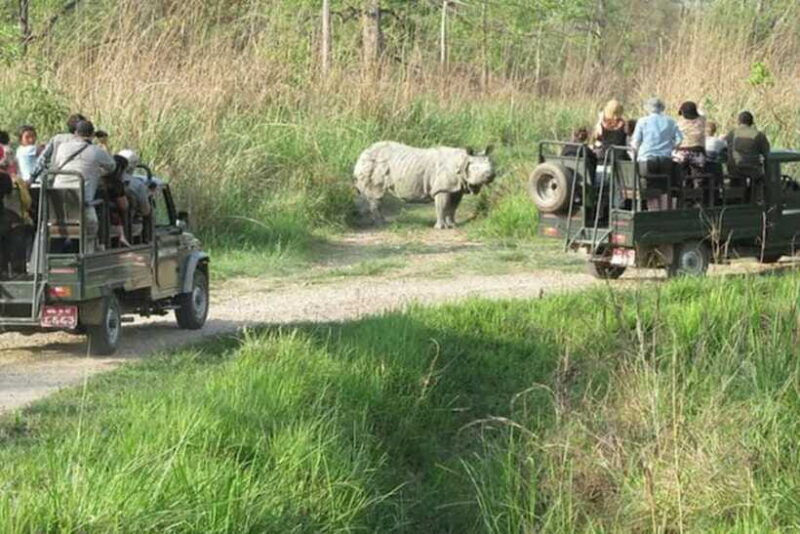 chitwan-national-park-tour