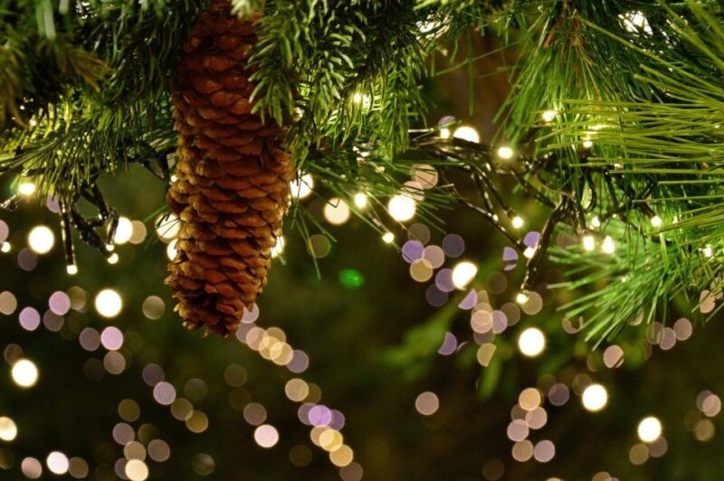 christmas-tales-in-canterbury-private-walking-tour