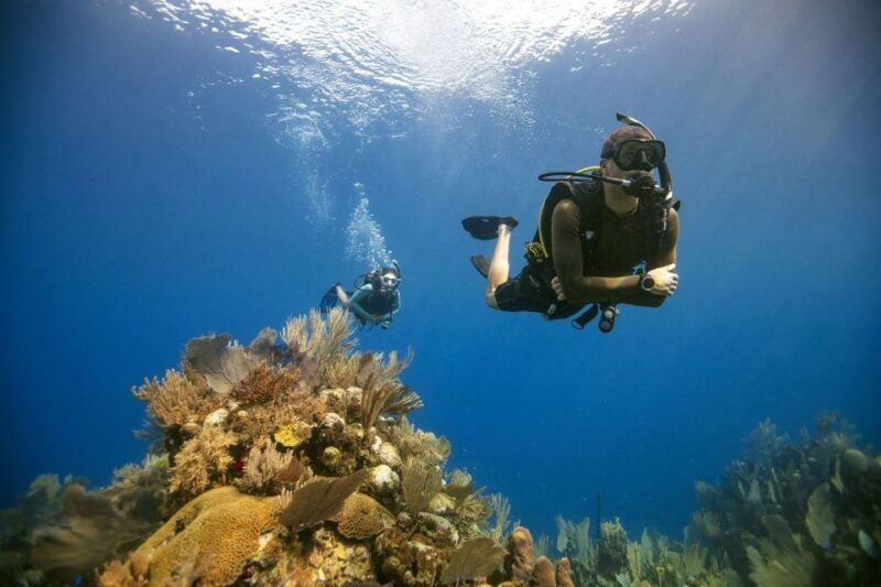 city-of-side-scuba-diving-with-pickup-lunch-and-2-dives