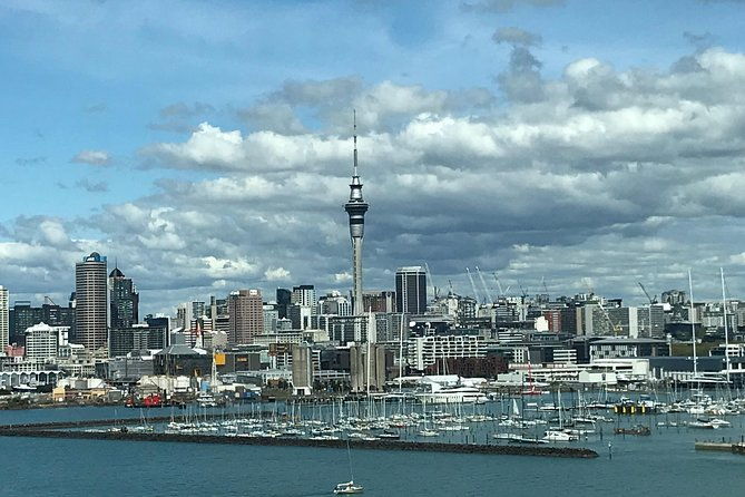 City to Surf Signature Private Tour - Coastal Beauty and Marine Life
