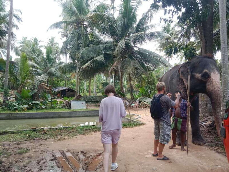 city-tour-discover-aluthgama-with-thrilling-adventures