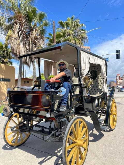 city-tour-on-electric-horse-wagon