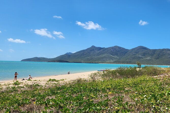 Coastal Beach Escape - Dingo Beach & Cape Gloucester - Practical Considerations