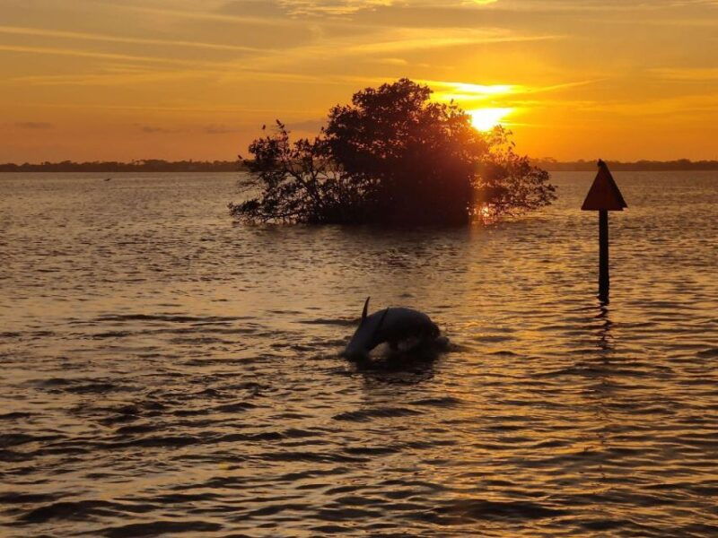 cocoa-beach-banana-river-sunset-cruise