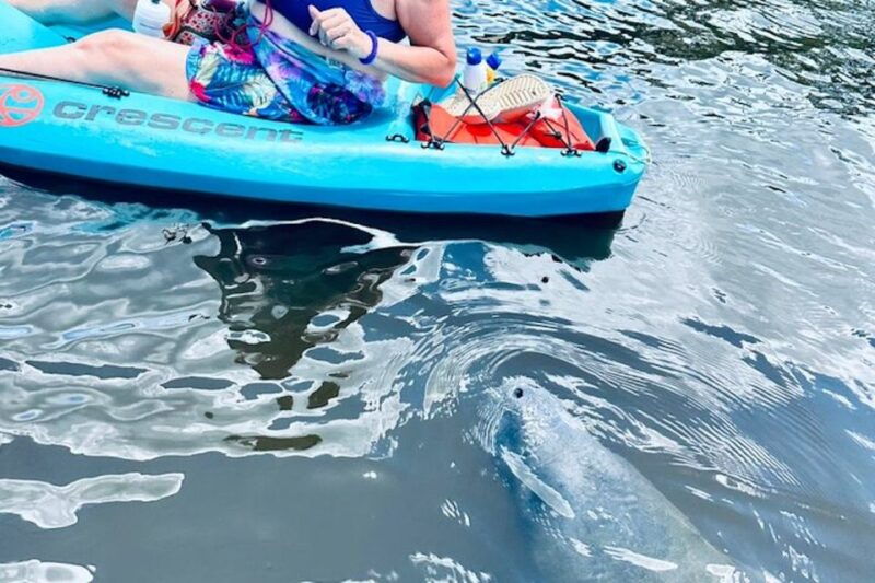 cocoa-beach-dolphin-and-manatee-kayak-or-paddle-tour