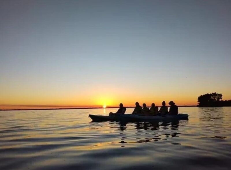 cocoa-beach-merritt-island-guided-dolphin-and-manatee-tour