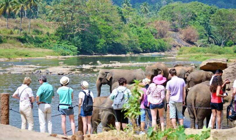 colombo-6-day-private-trip-culture-nature-wildlife-beach