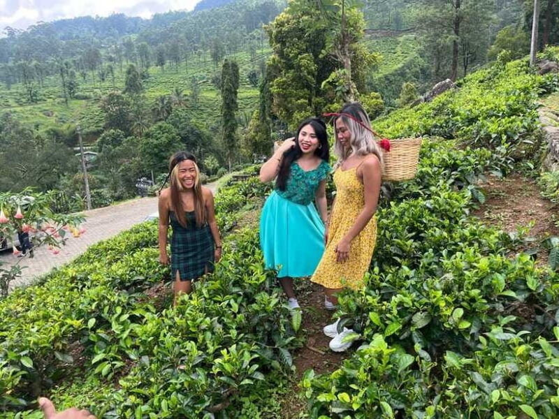 colombo-nuwara-eliya-tea-gardenscolonial-charm-high-tea