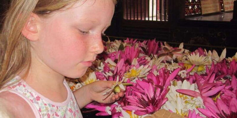 colombo-pinnawala-orphanage-kandy-temple-of-tooth-day-trip