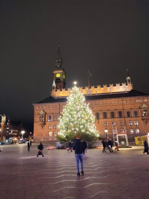 copenhagen-christmas-charm-walking-tour-with-holiday-beer