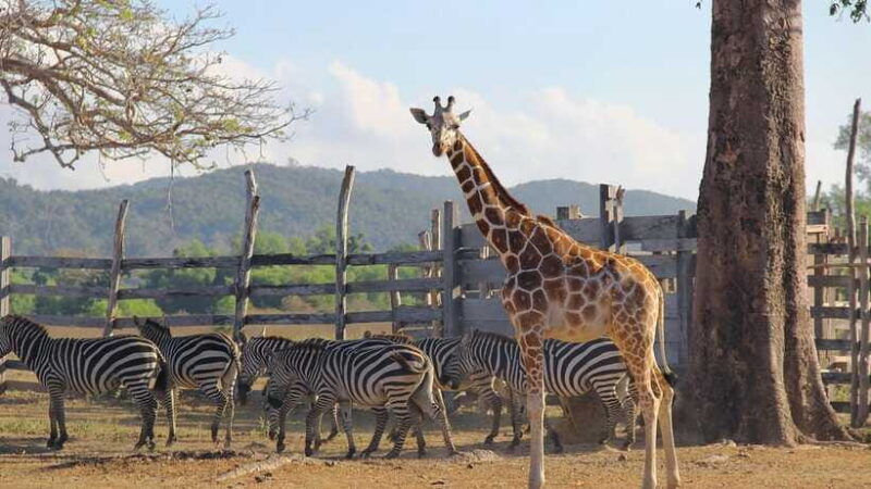 coron-calauit-safari-tour-private-tour