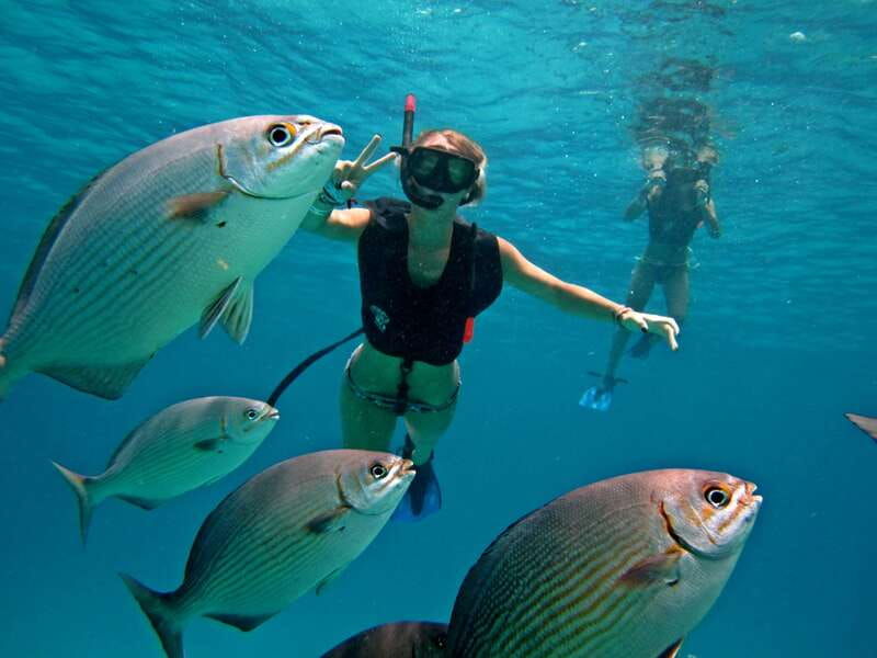 cozumel-chankanaab-park-day-pass-and-snorkeling-with-lunch